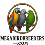 https://megabirdbreeders.com/