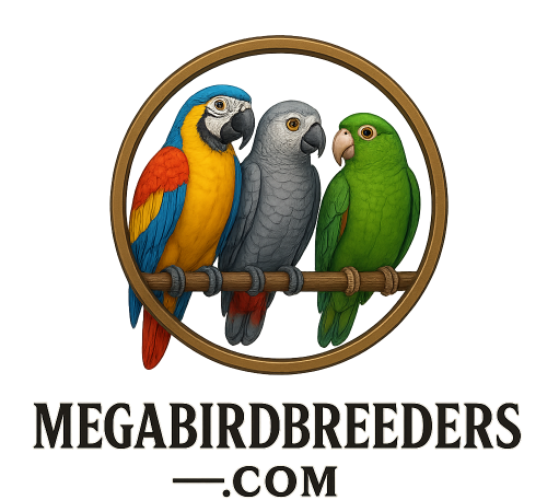 https://megabirdbreeders.com/